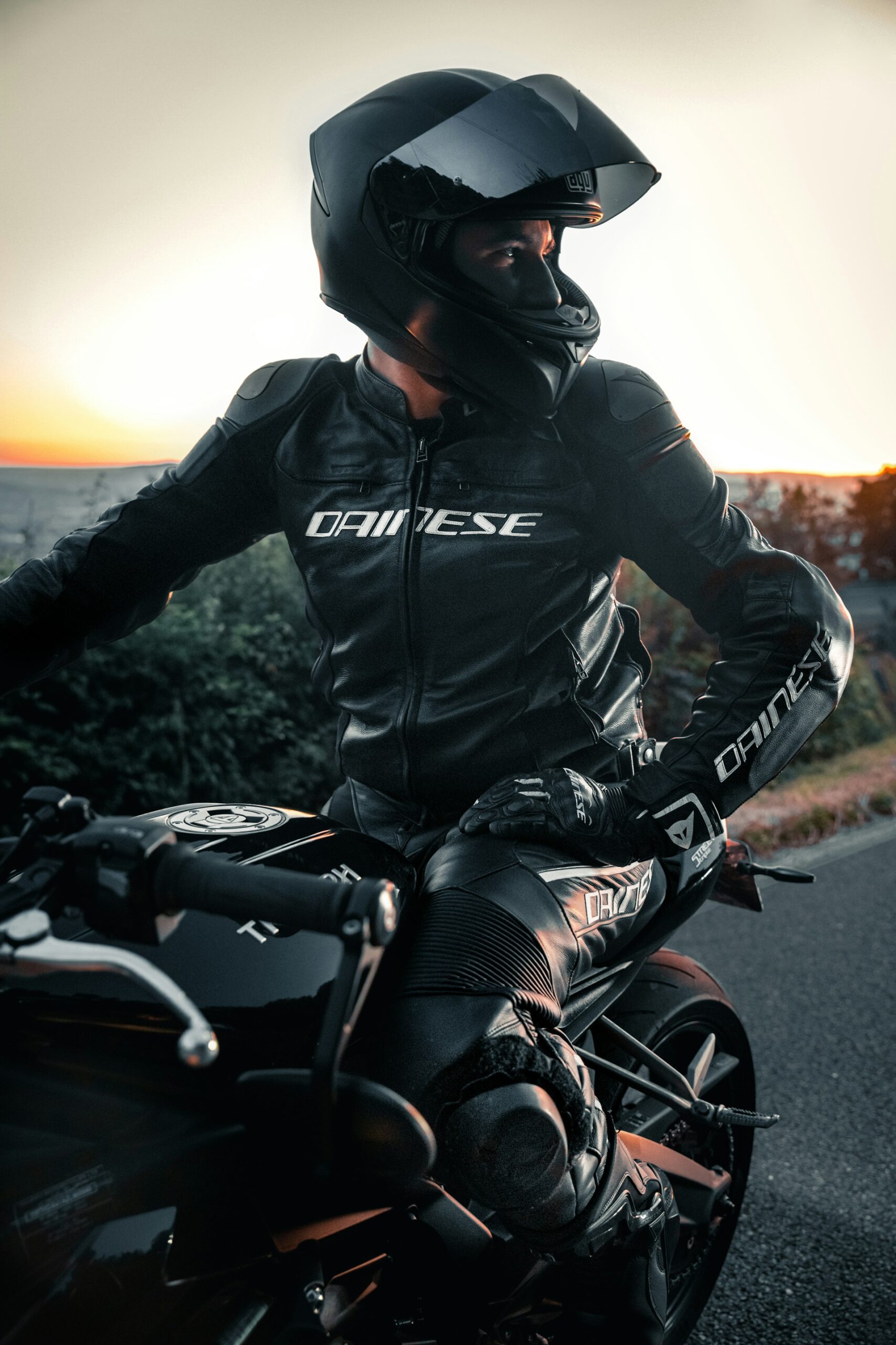 Hero Image Sedici Official Brand Website 
